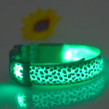 Safety Pet Collar With LED And Printed Design By Project Pet Lovers Club