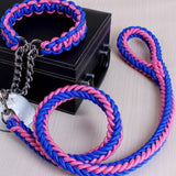Big Dog Plaited Leash And Collar Set