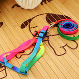 Safety Rainbow Leash and Harness Set