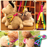Safety Rainbow Leash and Harness Set